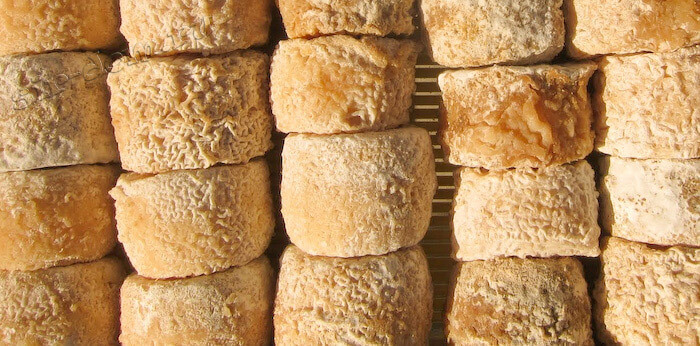 Кроттен де шавиньоль рецепт. 32. Кроттен де шавиньоль рецепт фото. Кроттен де шавиньоль рецепт-32. картинка Кроттен де шавиньоль рецепт. картинка 32. Пожалуй, именно кротен является не только одним из самых известных в мире, но и квинтэссенцией всех французских козьих сыров.